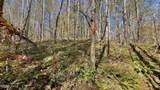 8 LOTS Grassy Branch Loop - Photo 19