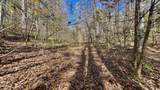 8 LOTS Grassy Branch Loop - Photo 20