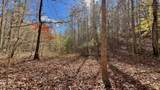8 LOTS Grassy Branch Loop - Photo 23