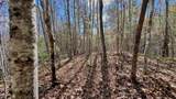 8 LOTS Grassy Branch Loop - Photo 27
