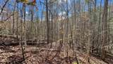 8 LOTS Grassy Branch Loop - Photo 29