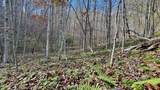 8 LOTS Grassy Branch Loop - Photo 30