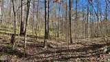 8 LOTS Grassy Branch Loop - Photo 31