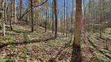 8 LOTS Grassy Branch Loop - Photo 32