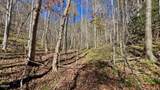 8 LOTS Grassy Branch Loop - Photo 34