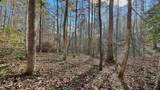 8 LOTS Grassy Branch Loop - Photo 35