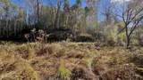 8 LOTS Grassy Branch Loop - Photo 39