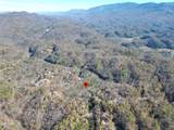 8 LOTS Grassy Branch Loop - Photo 8