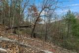 TBD Blossom Hollow Way - Photo 9