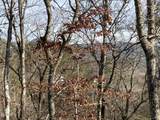 Lot 51 Red Cedar Ln - Photo 5