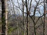 Lot 51 Red Cedar Ln - Photo 7