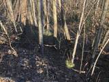 Lot 68 Yellowwood Drive - Photo 3