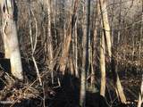 Lot 68 Yellowwood Drive - Photo 4