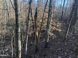 Lot 68 Yellowwood Drive - Photo 5