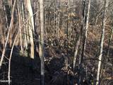 Lot 68 Yellowwood Drive - Photo 7