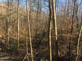 Lot 68 Yellowwood Drive - Photo 9