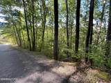 Lot 9 Wildcat Ridge Road - Photo 4