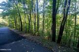 Lot 9 Wildcat Ridge Road - Photo 6
