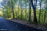Lot 9 Wildcat Ridge Road - Photo 7