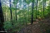 Lot 9 Wildcat Ridge Road - Photo 8