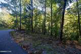 Lot 9 Wildcat Ridge Road - Photo 9