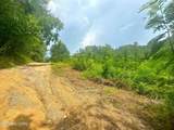 0 Creek Hollow Way Way - Photo 13