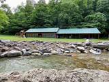 Lot 1 Black Walnut Flats Road - Photo 10