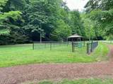 Lot 1 Black Walnut Flats Road - Photo 11
