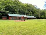 Lot 1 Black Walnut Flats Road - Photo 9