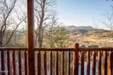 2310 Hollow Branch Way Way - Photo 29