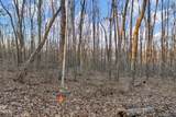 Lot #7 Walker Road - Photo 8