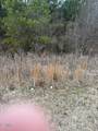 000 Winfield Dunn Parkway - Photo 3