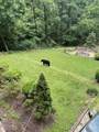 2615 Black Bear Lane - Photo 24