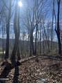 1008 Country Mountain Road - Photo 10