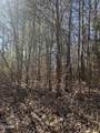 1008 Country Mountain Road - Photo 3