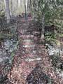 6750 Old Walland Highway - Photo 10