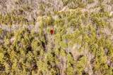Lot 34 Hedge Maple Way - Photo 13