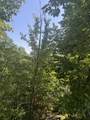 Lot 25 Summit Trails Drive - Photo 11