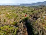 Lot 50 Harvest Moon Road - Photo 12