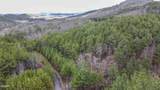 545 Harlan Mountain Road - Photo 5
