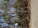 Lot 1191 Tree Line Lane - Photo 1