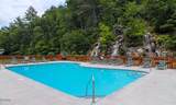 2034 Bear Haven Way - Photo 37