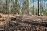 Lot 10 Tarwater Lane - Photo 11
