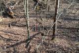 Lot 10 Tarwater Lane - Photo 13