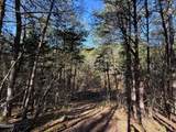 13.5 Acres Buck Horn Road - Photo 10
