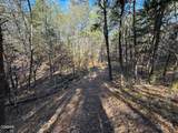 13.5 Acres Buck Horn Road - Photo 11