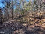13.5 Acres Buck Horn Road - Photo 2