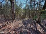13.5 Acres Buck Horn Road - Photo 3
