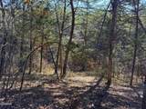 13.5 Acres Buck Horn Road - Photo 4