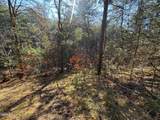 13.5 Acres Buck Horn Road - Photo 6